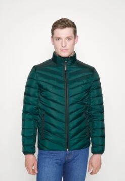 Tom Tailor Lightweight Jacket - Light Jacket - Deep Green Lake