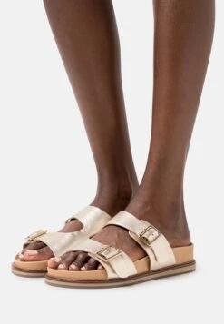 Gioseppo Ciampino - Mules