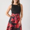 Anna Field Day Dress - Black/red